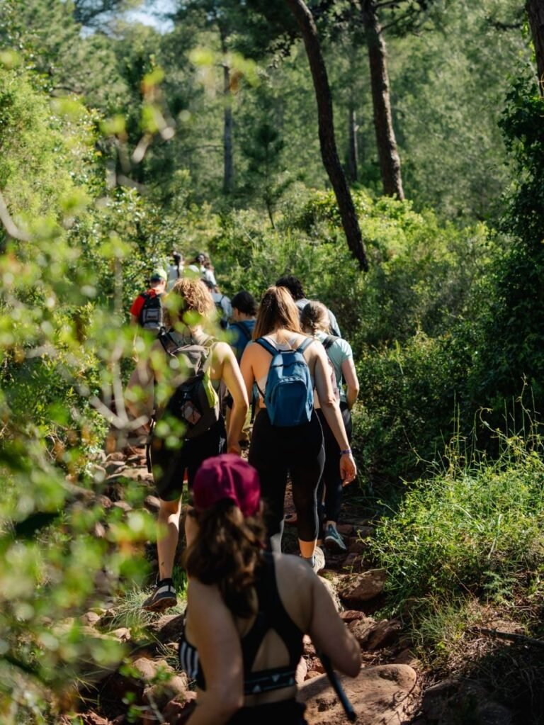 357b6ad31e4fdfa1251fe151062730aa